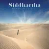 Siddhartha - MEMORIA FUTURO